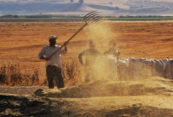 Tarmsal girdi fiyat endeksi bir ylda yzde 112,41 artt