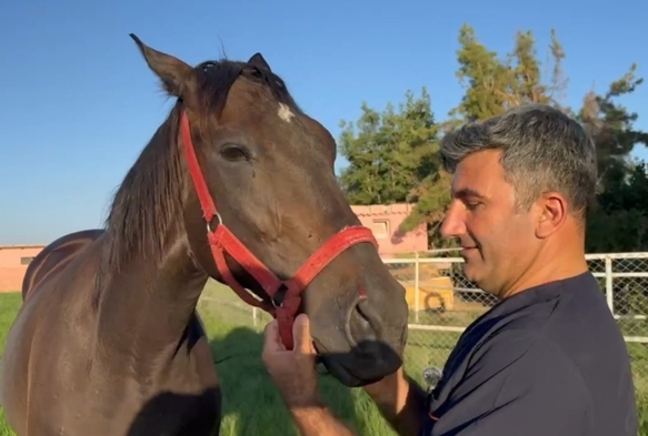 Milyonluk Yarış Atları Urfa'da Yetişiyor!