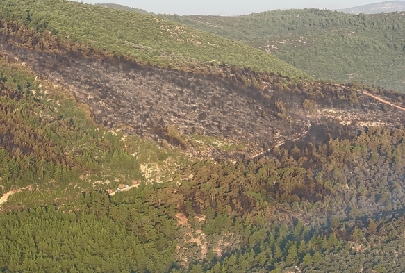 Bodrum'daki Yangın Kontrol Altına Alındı