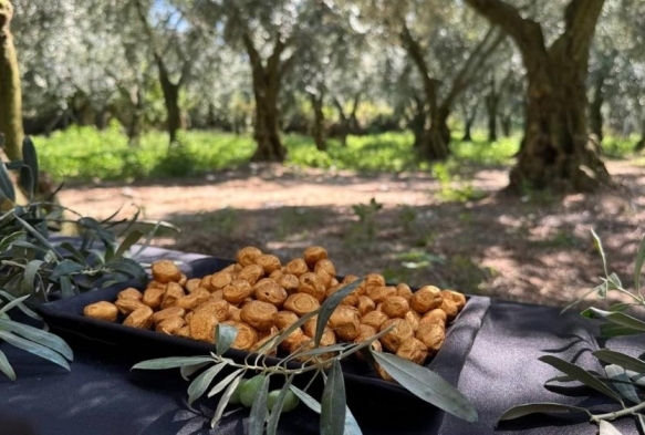 Bu da oldu... Altın kaplamalı zeytin yok satıyor