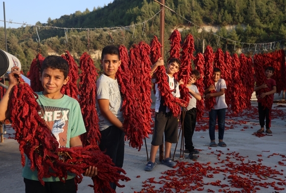 Mahalle Adeta Kırmızıya Brnd