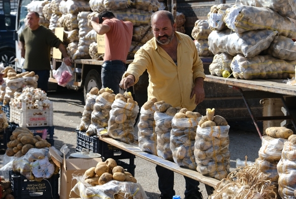 Patates ve Soğan Stoku Başladı