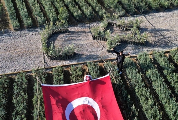 Zeytin Fidanlarıyla Bayrak Oluşturdu