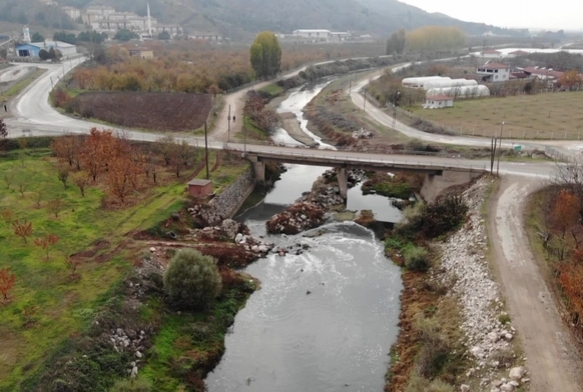 Tersakan ayı 'zehir' akıyor