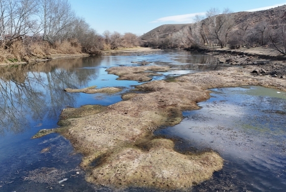 Trkiye'nin en uzun nehri kuruyor