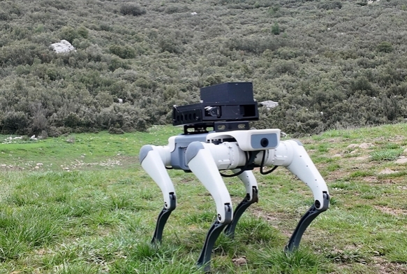 Robotik kpek atlm: 