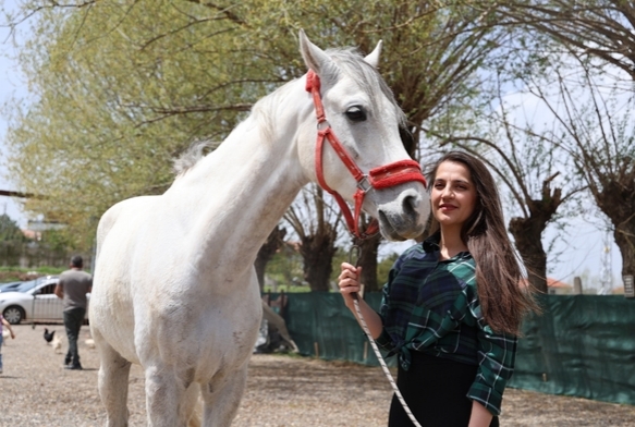  Kadnlarn binicilie olan merak artt