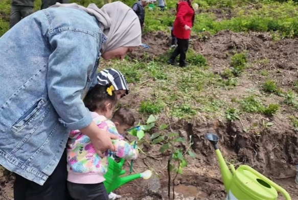 250 ıhlamur fidanı toprakla buluştu