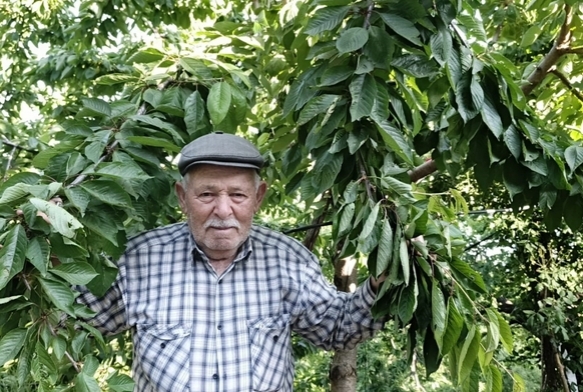 Ege bu yl meyveye hasret