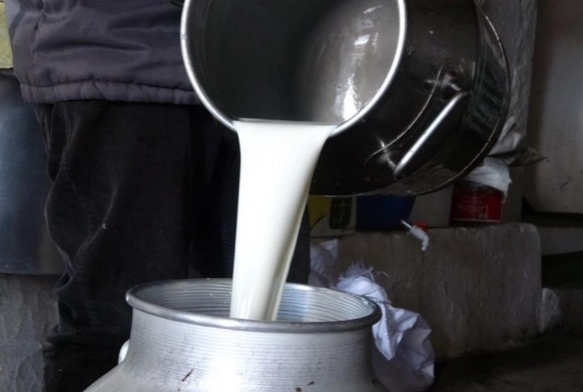 Çiğ süt fiyatları belli oldu