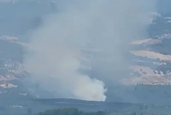İznik'te orman yangını