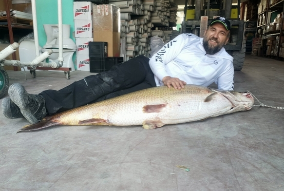 1 buuk metrelik balk oltaya takld