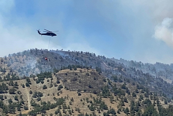 Ankara'da ormanlk alanda yangn kt