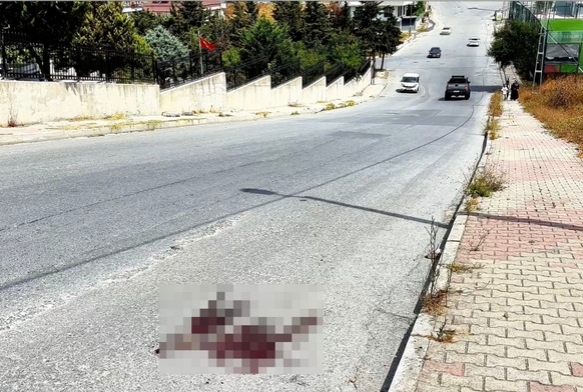 Karde kavgas cinayetle bitti!