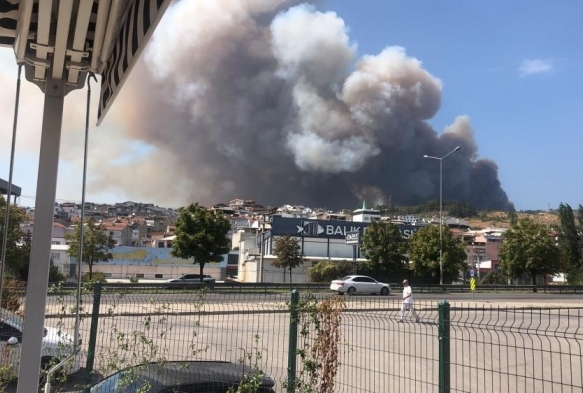 Bursa'da orman yangn
