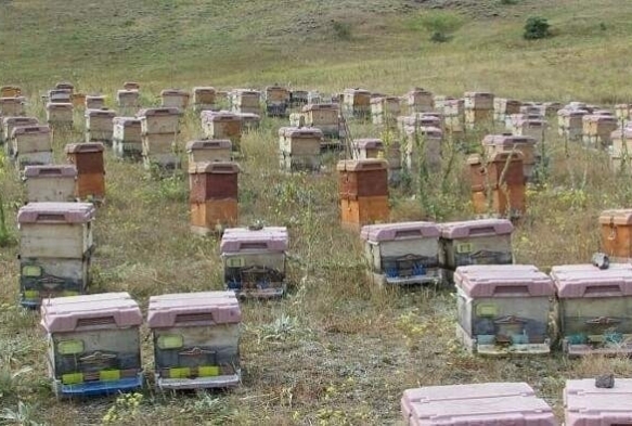 Dou Karadeniz'de arclk alarm veriyor