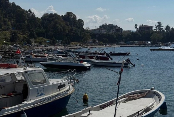 Karadeniz'de bu yl hamsi beklentisi byk