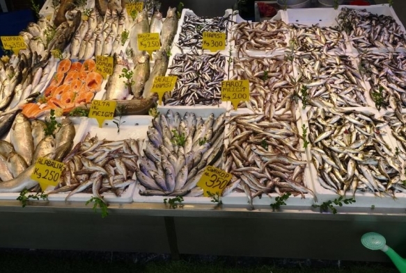 Balk palamuttan umudunu kesti, hamsi ve istavrit ile teselli buluyo