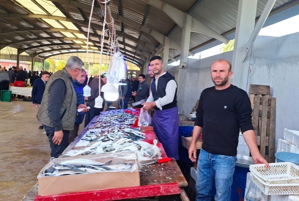 Balık bollaştı, fiyatlar düştü