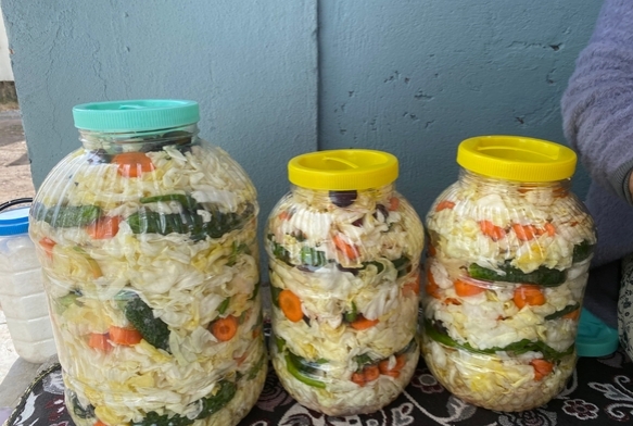 Turu kurma mesaisi balad