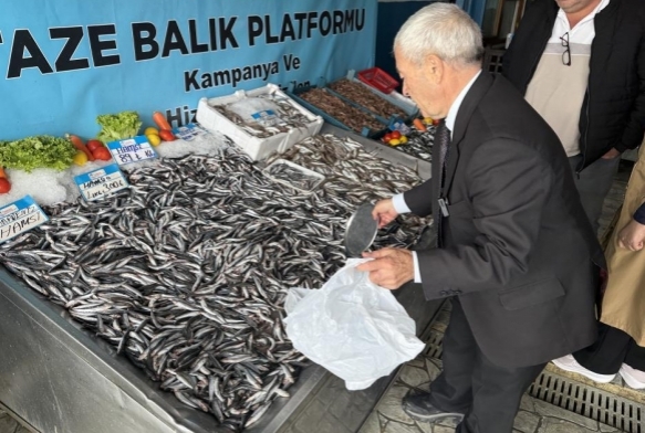 Denizlerde balık bolluğu