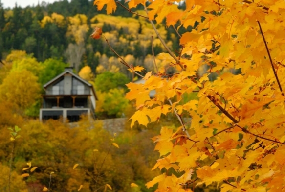 Zigana'nın tünelini değil, manzarasını seçtiler