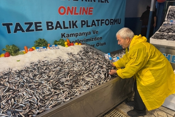 Hamsi fiyat yzleri gldrd