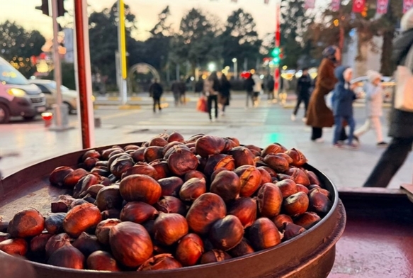 Kn ifa kayna kestane