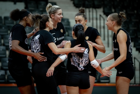 Eczacba Dynavit, ampiyonlar Ligi'nde