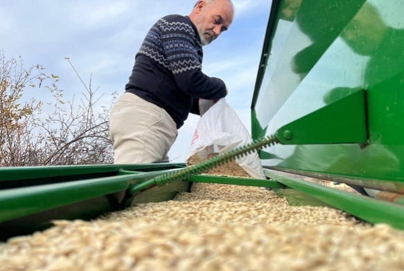 12 bin yllk siyez toprakla bulutu