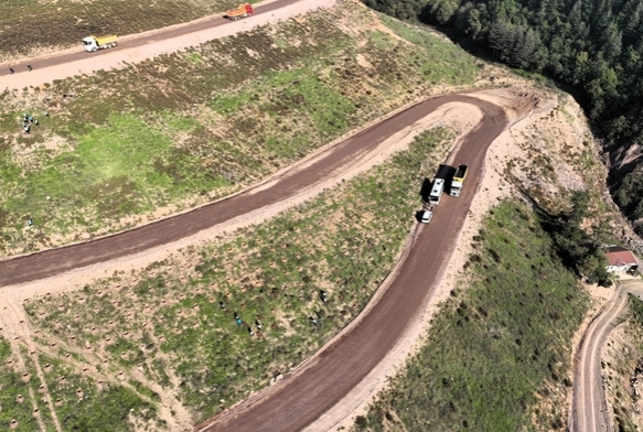 Krfez'e 3 bin 300 Toros sediri dikilecek