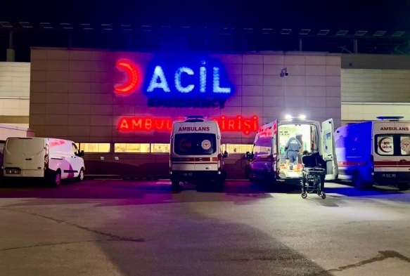 Pitbull deheti: ocuun yz parampara oldu