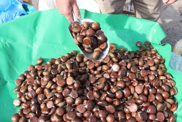 Hasad zahmetli, sat ise sabr ii