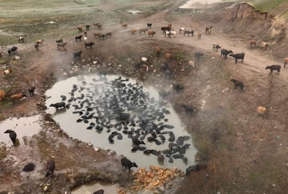 Mandalarn kaplca keyfi havadan grntlendi