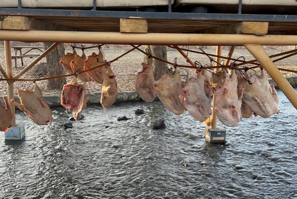 K sofralarnn vazgeilmezi hazrlanyor