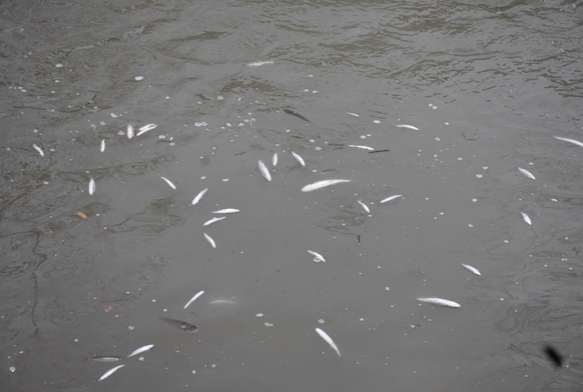 �ayda korkutan g�r�nt�!