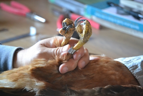 2025'te 34 bin 360 ku� halkaland�!