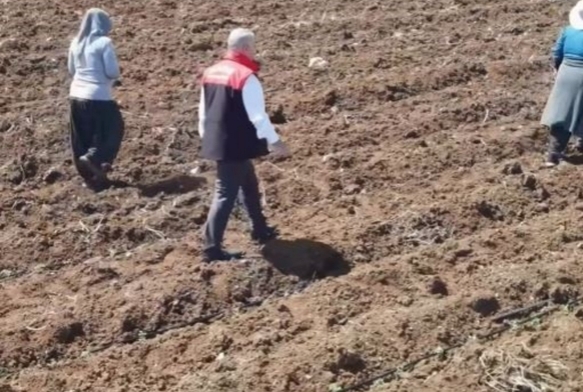 Domates �retiminde yeni sezon ba�lad�