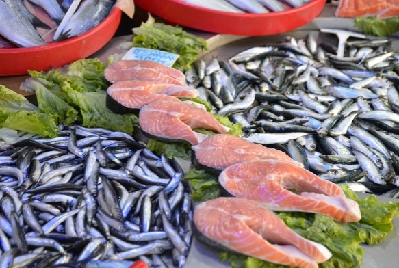 Tezgahlar bal�ks�z kalm�yor