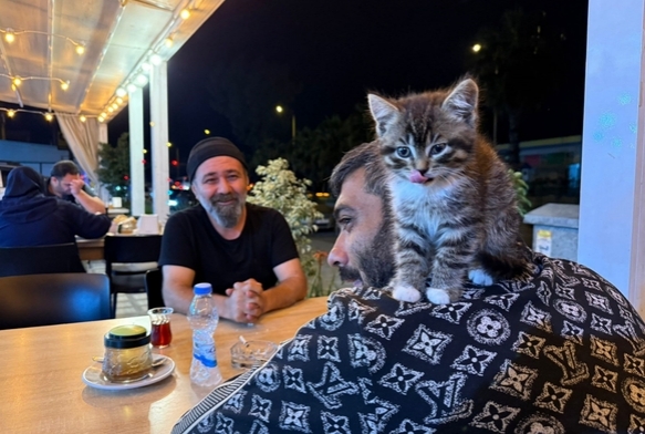 Ba��ml�l���ndan yavru kedi sayesinde kurtuldu